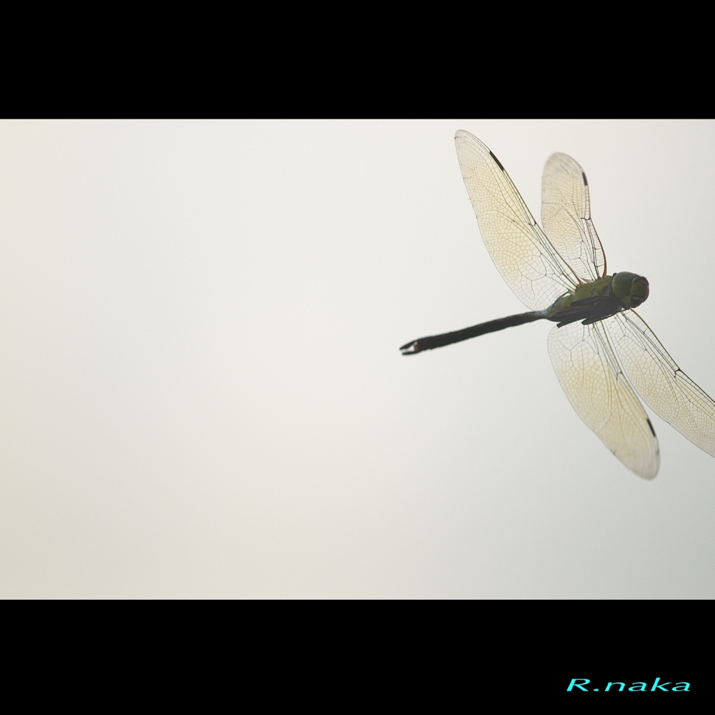 止まった時間　６