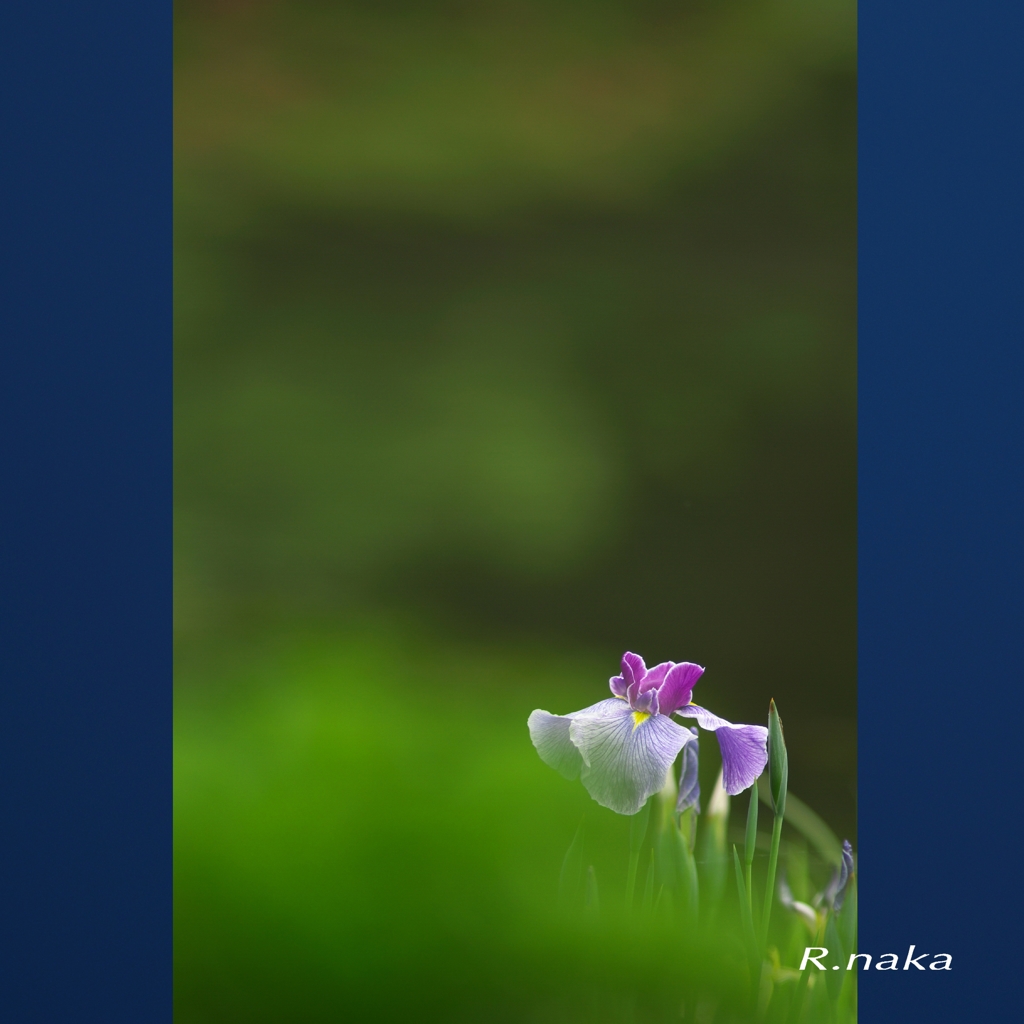 アールなか流　写真術　３