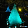 公園　2016　イルミネーション　４