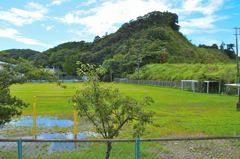 裏の小学校