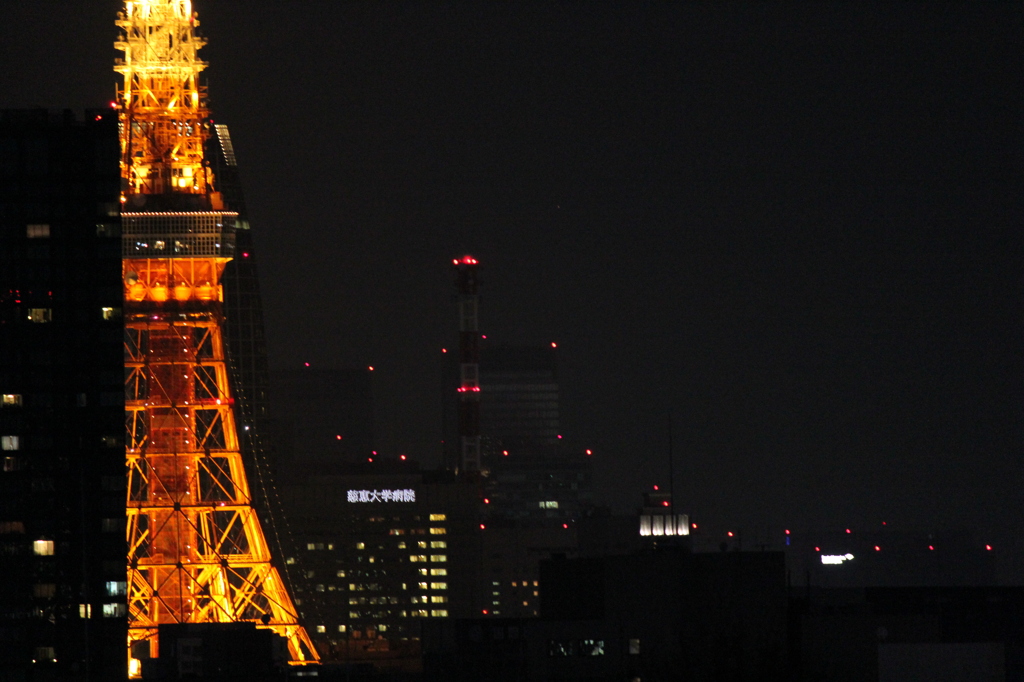 tower2