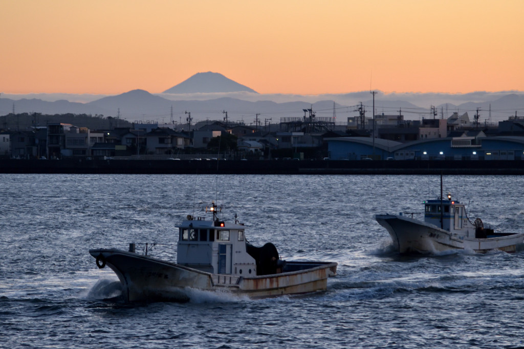 晴れの朝