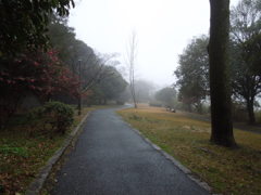 雨上がりの朝