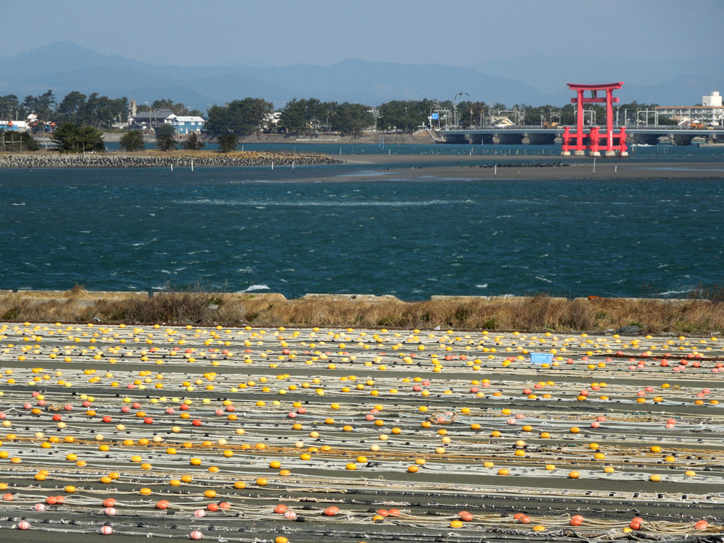 こちら浜名湖　７