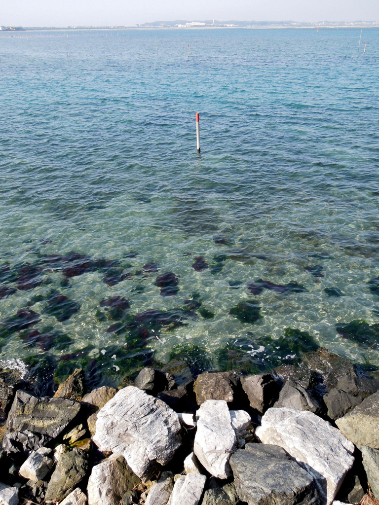 こちら浜名湖　１１