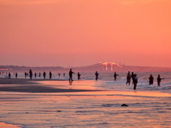 今朝の海