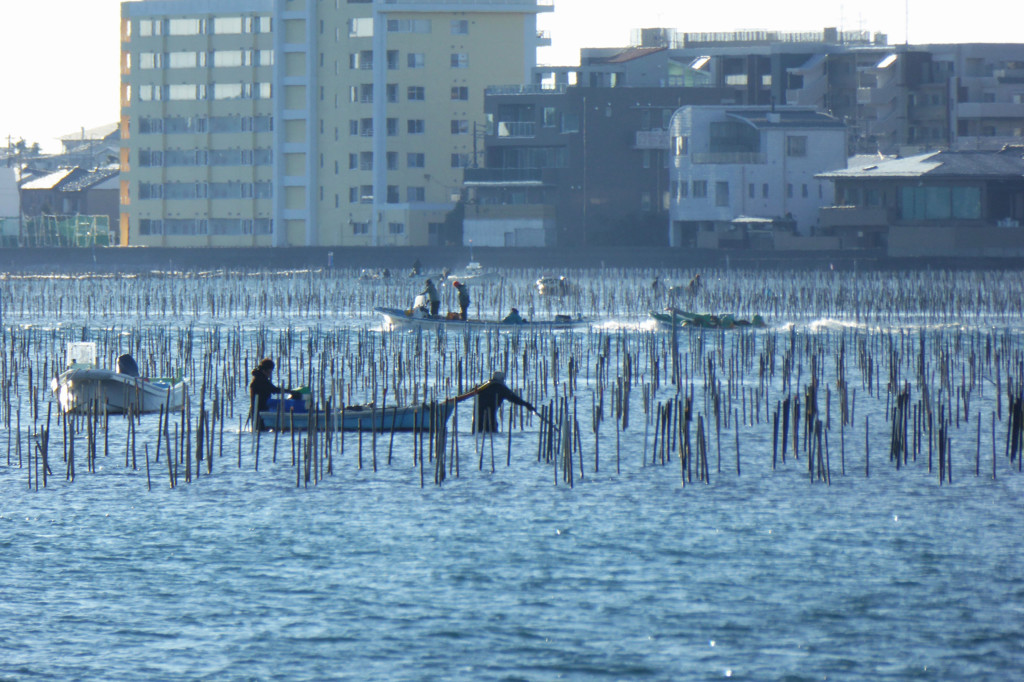 こちら浜名湖　２