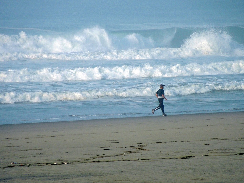 今朝の海