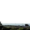 今朝の海