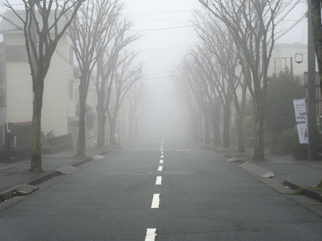 朝霧　２