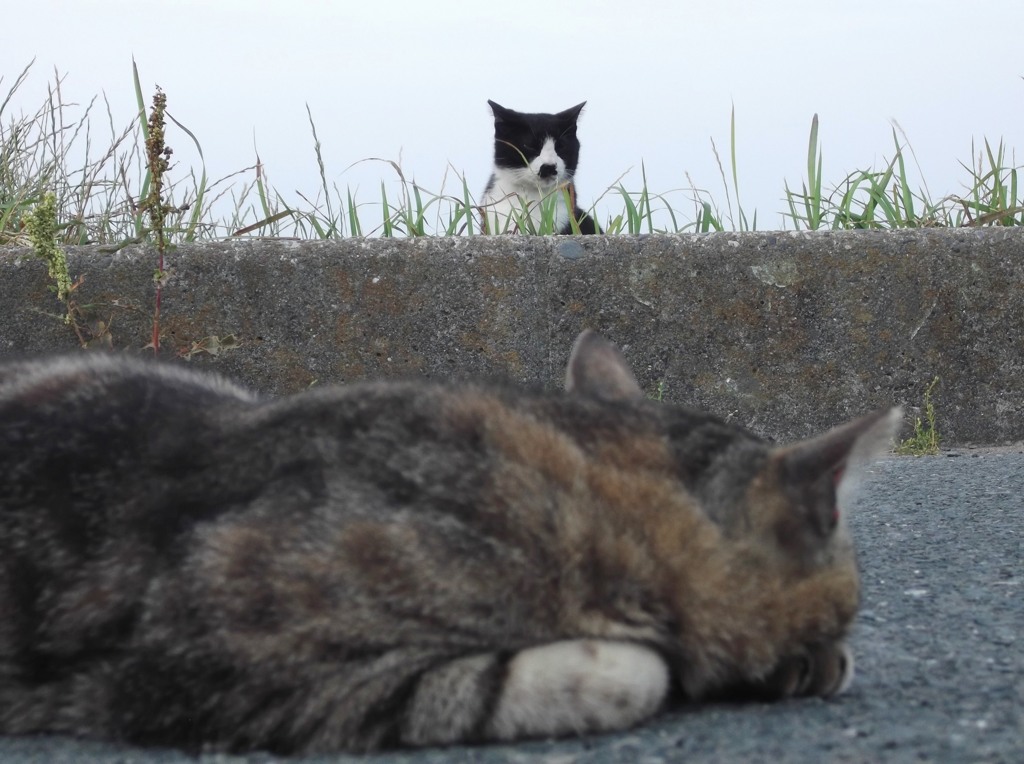 時間には遅れないように