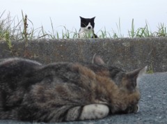 時間には遅れないように