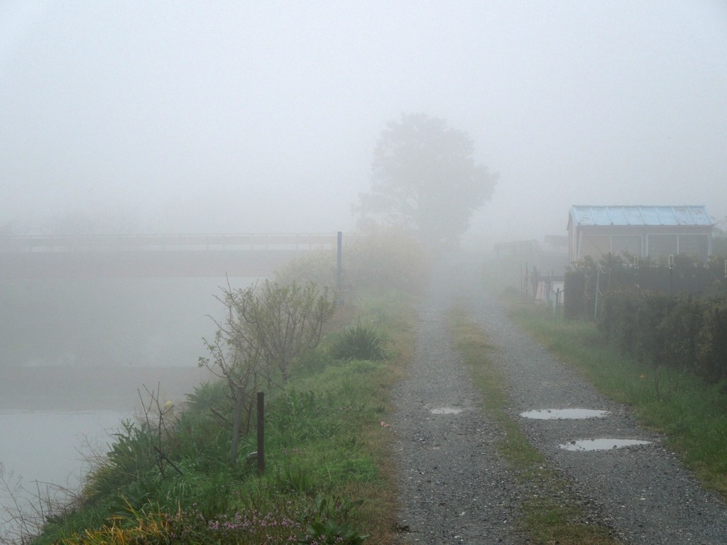 朝霧　３