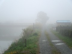 朝霧　３
