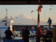 富士のある風景　２