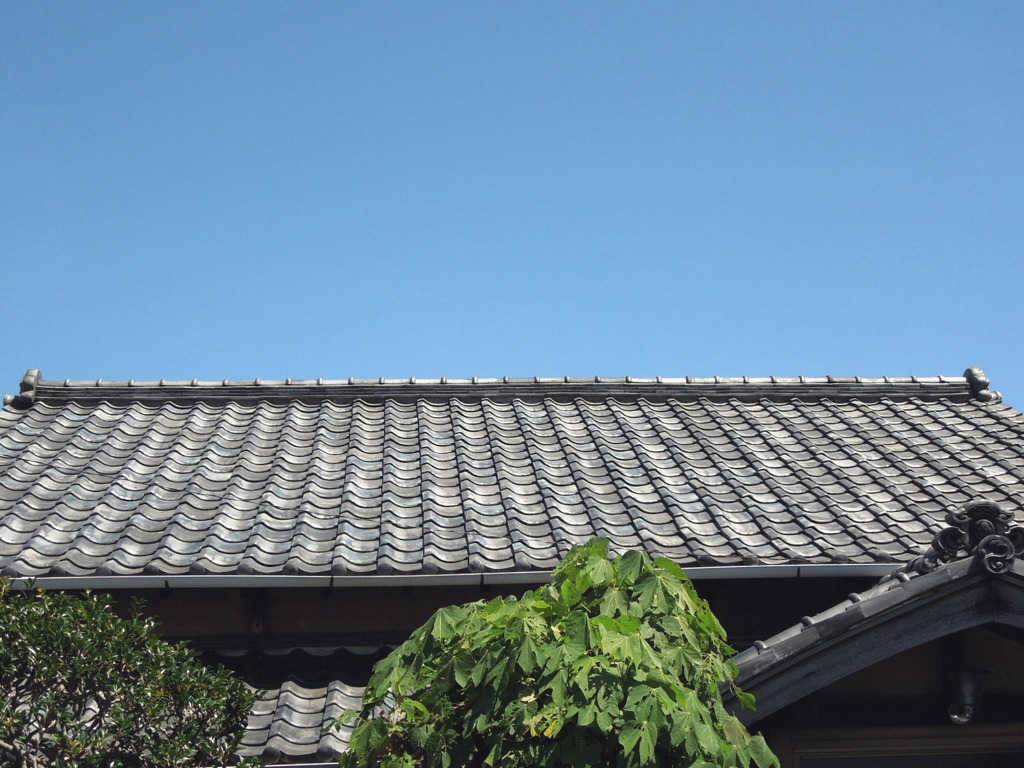 夏の断片