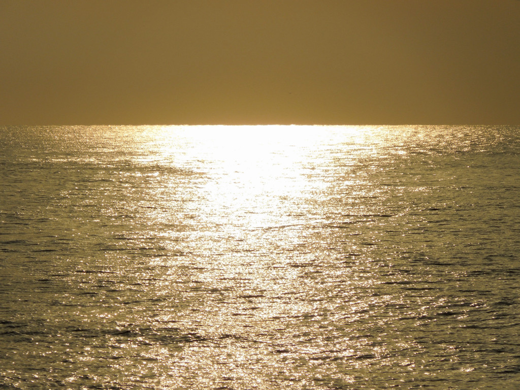 今朝の海
