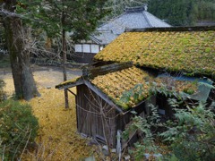 晩秋の山里