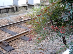 鉄路と南天