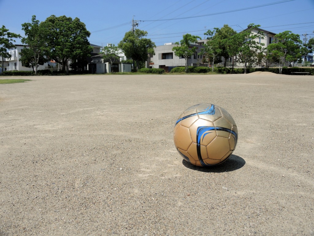 今朝の公園