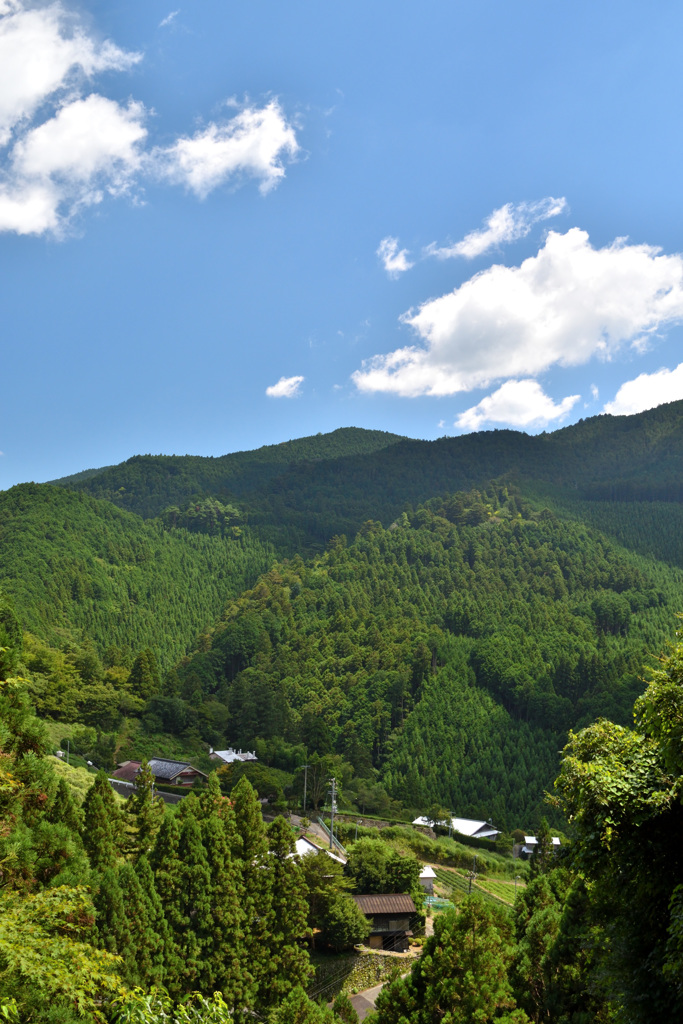 山里