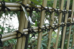 竹と紐