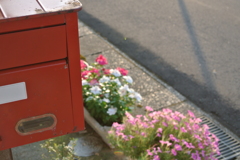 玄関先