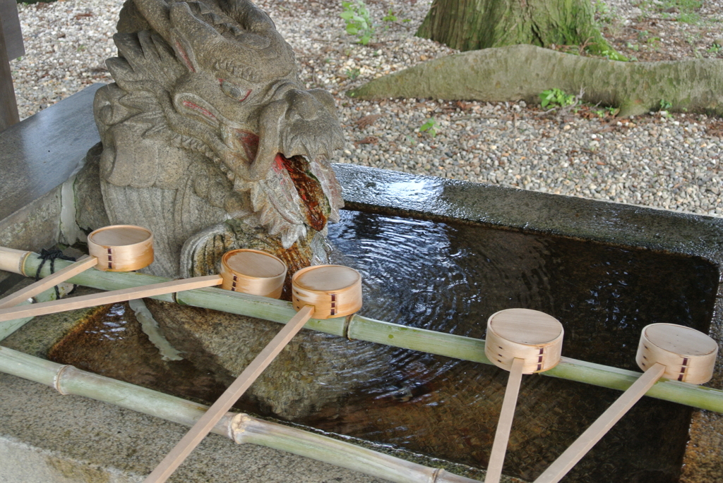 いけ！ドラゴン！みずてっぽう！