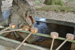 いけ！ドラゴン！みずてっぽう！
