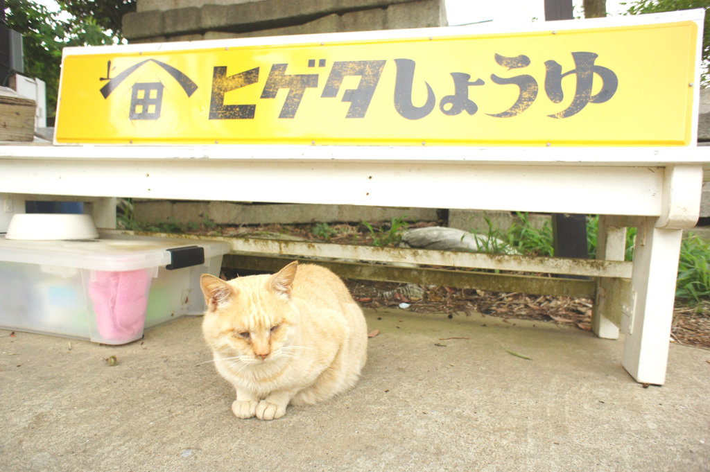 きみちゃん
