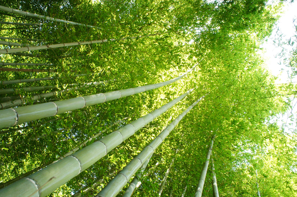 どこまでも