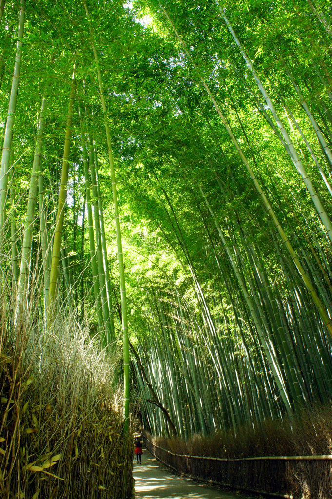 薫る道