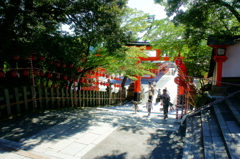 夏の伏見稲荷大社