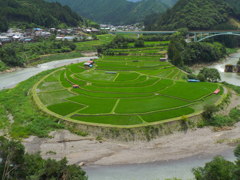 夏の棚田2