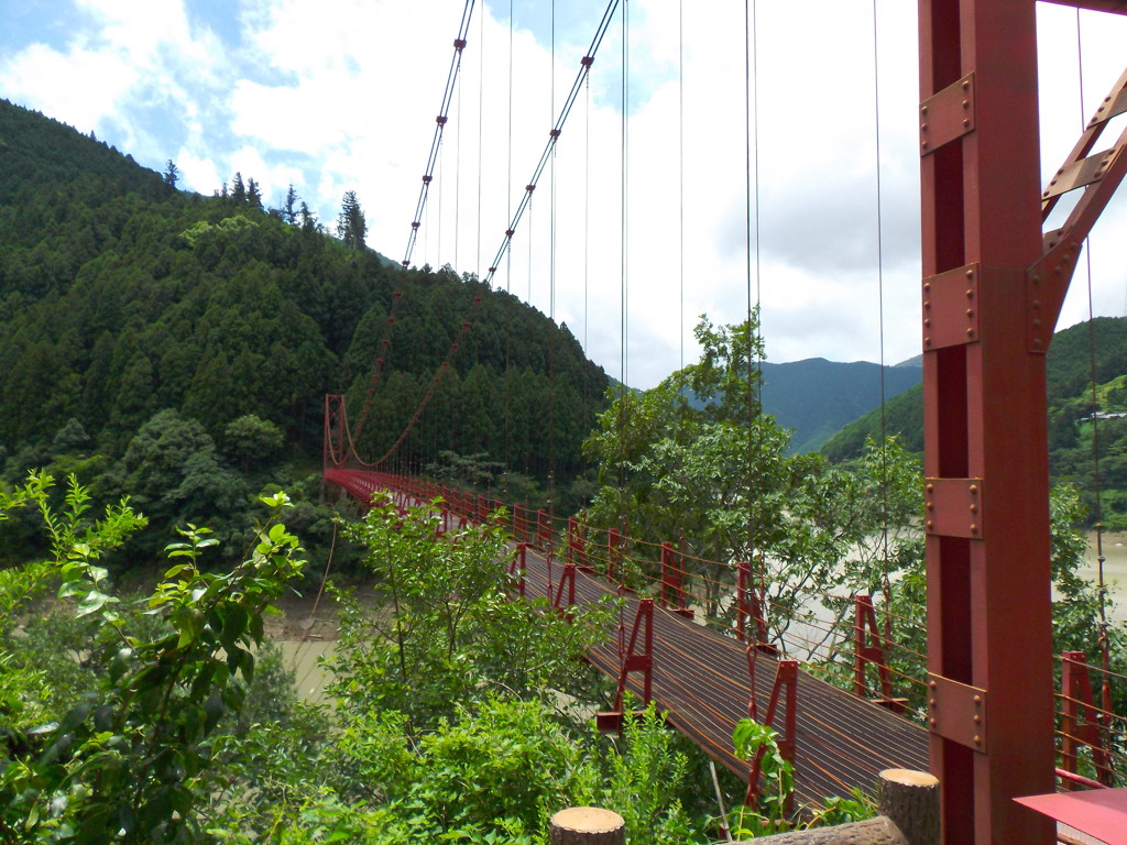 夏の吊り橋