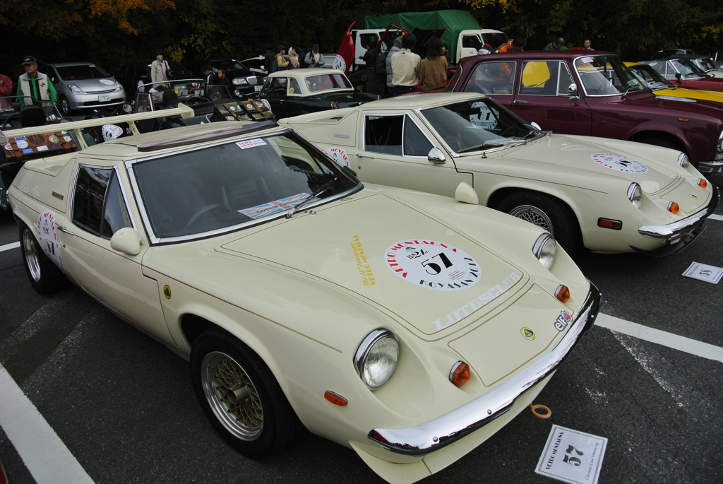 ヴェトロモンターニャ　ロータスヨーロッパ