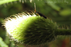 IMG_0471name