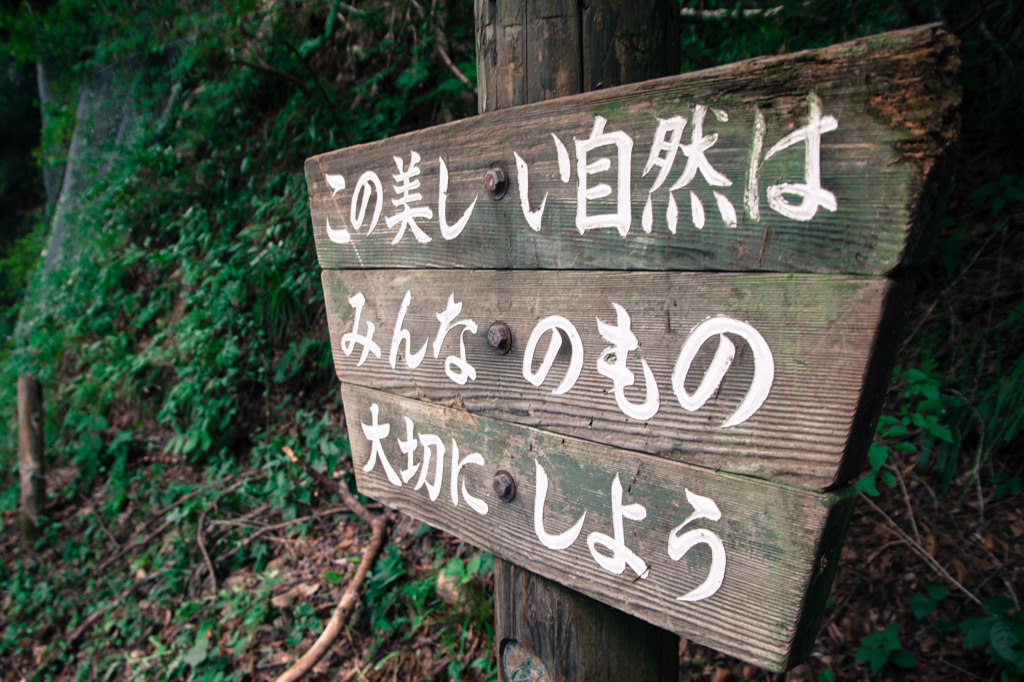 美しい自然でした