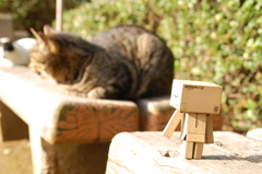 猫だ