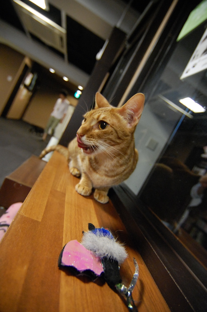ぺろーん