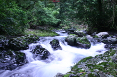 川津七滝