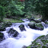 川津七滝