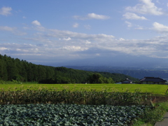 田んぼ×雲×青空
