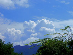 2012-夏の一枚