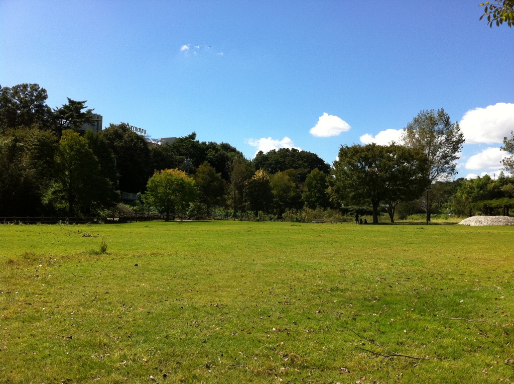 常磐大学近くの公園で