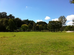 常磐大学近くの公園で