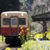 小湊鉄道の春