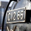 C12 66