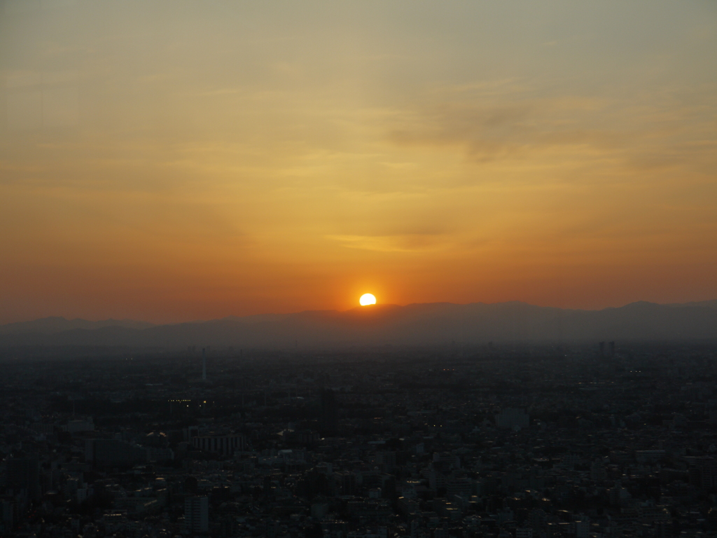 都庁からの夕日。