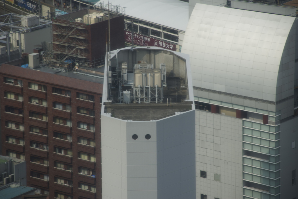 DSC_0008
